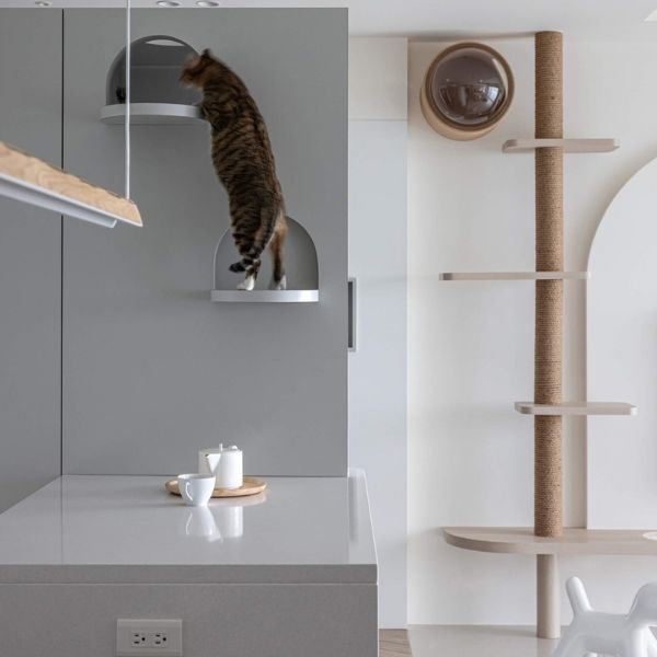 Móveis Sob Medida para Pets Móveis Sob Medida para Pets